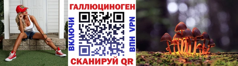 Галлюциногенные грибы Psilocybine cubensis  купить  сайты  Пенза 